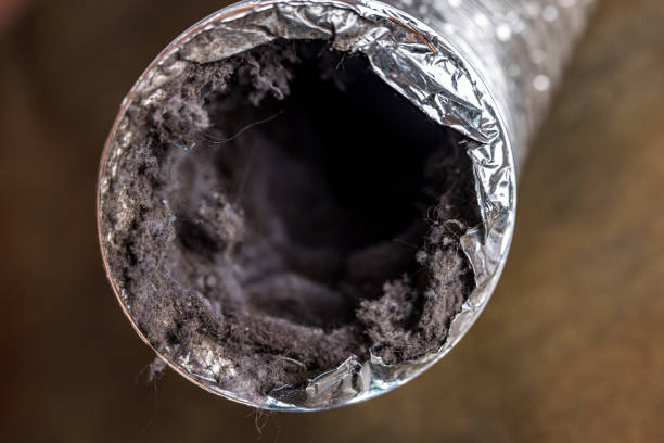 Best Air Vent Cleaning Services  in Addison, WV